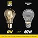 Lucero LED Filament Healthy Edison Light Bulb - Dimmable Warm White 6W - 60W Equivalent UL Listed A19 E26/27 Base 2700K