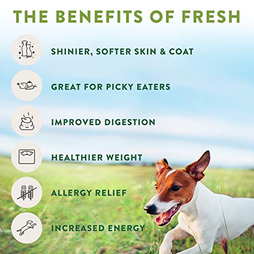 Freshpet Healthy & Natural Dog Food, Fresh Chicken Recipe, 5.5lb