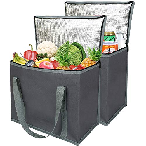 2 Insulated Reusable Grocery Shopping Bags Xl Large Picnic