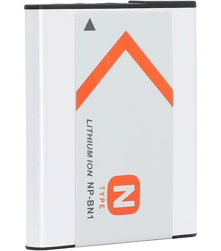 Amazon.com : Surpassed Rechargeable Li-ion Battery Pack