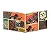 Mighty Wallet Star Wars Men's Ultra Thin Strong Tyvek Wallet by Dynomighty - Han Solo and Chewbacca Comic Panels