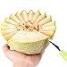 X-Chef Watermelon Slicer Fruit Slicer Corer Server with Fruit Baller and Carving Knife