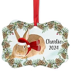 Domesticated New Zealand Red Rabbit Christmas