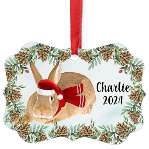 Domesticated New Zealand Red Rabbit Christmas
