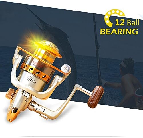 Yumoshi 12BB Fish Spinning Reels with Left/Right Interchangable Metal Aluminum Rocker-Arm for Saltwater Freshwater Powerful Fishing (EF500-EF9000 Series) (EF3000)