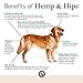Veterinary Naturals Hemp & HIPS Soft Chews Joint Supplement for Dogs – Hemp Oil, Turmeric and Glucosamine for Dogs - 120 Chews, Chicken Flavor