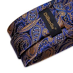 DiBanGu Silk Paisley Ties for Men Woven Necktie and