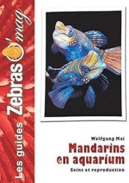 Mandarins en aquarium