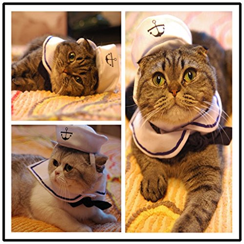 Kailian ® Hot Cute Dog Cat Hat