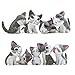 9 Pack Fridge Magnets Cat Refrigerator Office Magnets for Calendars Whiteboards Maps Resin Fun Decorative Decoration