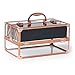 Beautify Professional Large Lockable Acrylic Vanity Makeup & Cosmetic Storage Display Case with Frame (Rose Gold)
