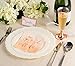 Rosé Party Decorations, Pink Napkins (Rose Gold Foil, 5 x 5 In, 50 Pack)