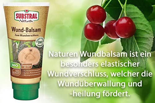 Substral Naturen Bio Wundbalsam, Wundverschlussmittel , das elastische Baumpflaster nach dem Baumschnitt, 150 g – Bild 5