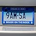 Doctor Who License Plate Frame - Bigger on The Inside Tardis Design, 6.25