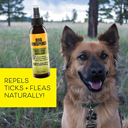 YAYA ORGANICS Dog Whisperer Tick + Flea Repellent, Proven Effective, All-Natural, Safe for Dogs and Their People (4 Ounce Spray) - Thumbnail 2