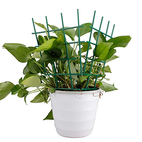 AK-XING Garten-Rankgitter für Topfpflanzen, 10 Stück Kletterspalier, Pflanzen Kunststoff Spalier für Indoor Outdoor… – Bild 3