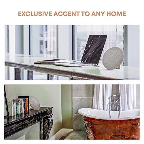 sierra modern home purewave wireless hifi speaker