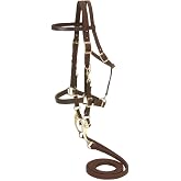 Australian Outrider Nylon Halter Bridle with Reins