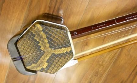 Image result for beautiful erhu instrument with asian lady photos