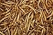 1 Lb Tasty Worms Freeze Dried Mealworms Approximately 16,000 Worms