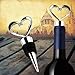 Lovelyou 11 Stainless Steel Love Design Heart Shape Wine and Beverage Bottle Stoppers (Set of 10)