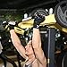 Nordic Lifting Weight Lifting Gloves with 12