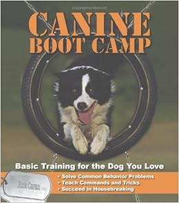 k9 bootcamp