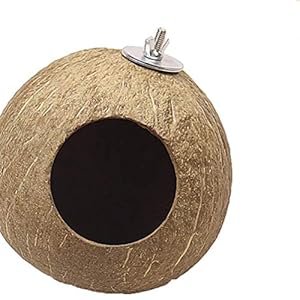 Balacoo Nido di Uccello Domestico Delicato Ciondolo Conchiglia di Cocco Naturale Nido di Uccello Artigianato Nido… - immagine 5
