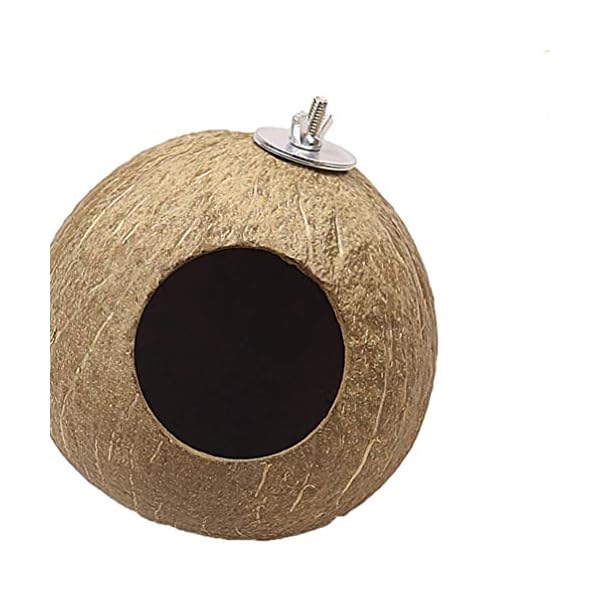 Balacoo Nido di Uccello Domestico Delicato Ciondolo Conchiglia di Cocco Naturale Nido di Uccello Artigianato Nido…