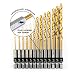 INTOO Hex Drill Bit Set 13 Piece 1/16"-1/4" Quick Change titanium Impact Drill Bit set