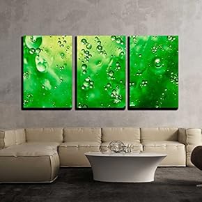 3 Piece Canvas Wall Art - Organic Green - Modern Home Art Stretched and Framed Ready to Hang - 16"x24"x3 Panels