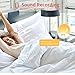 Wake Up Light, Alarm Clock with Recording Function, 7 Colors Night Light, Sunrise Simulation Snooze for Kids, Heavy Sleepers, FM Radio 8 Natural Sounds &30 Adjustable Bright