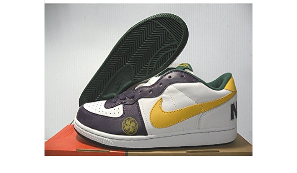 Nike Terminator Hi Swagger for Women