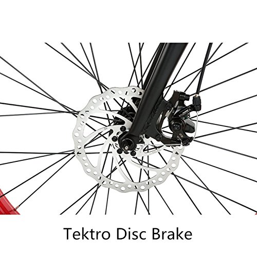 ONWAY 26" 750w Fat Tire All Terrain Using Electric Bicycle, Best Suit for Snow & Beach with Pedal Assist and Throttle