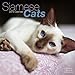 Siamese Cats Calendar - 2015 Wall calendars - Animal Calendar - Monthly Wall Calendar by Avonside Studio