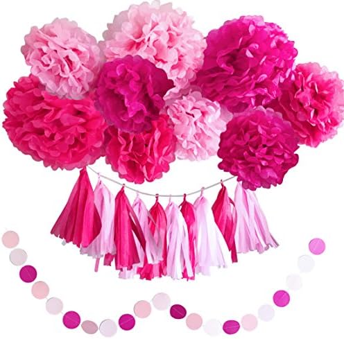 Girl's Baby Shower Decorations Set and Birthday Party Decor Kit Pink and Hot Pink Pom Pom Tissue Flowers and Tissue Paper Tassels Garland Set by Memories Party Decor 41 Pieces