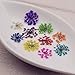 3X (72pieces) Lace Flower 2-2.5cm Natural Dried Flowers Pressed Herbarium Flower Nail Sticker Resin Filler (Mixed Color)