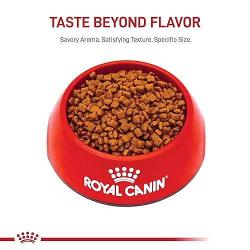 ROYAL CANIN FELINE HEALTH NUTRITION MOTHER & BABYCAT QUEEN DRY CAT FOOD, 6 LB BAG