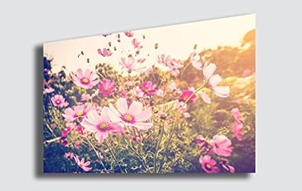 Tableau Moderne 152x78 Cm – Impression Toile Fleurs Roses – Déco Murale Shabby Chic