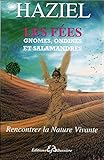 Les fées, gnomes, ondines et salamandres by 