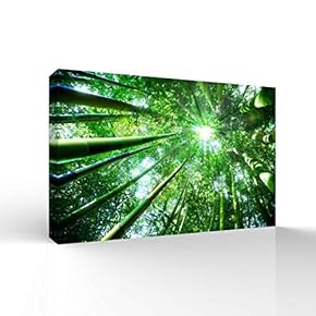 Wall26-Canvas Wall Art-Quiet Bamboo Grove-Giclee Painting Wall Bedroom...