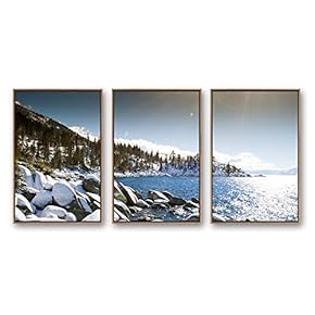 3 Piece Framed Canvas Wall Art for...