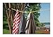 Coghlan's Bungee Clothesline, 2 Pack