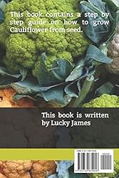 CAULIFLOWER CULTIVATION: Step By Step Guide On How