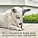 FRONTLINE Oral Defense Daily Dental Chews for Dogs