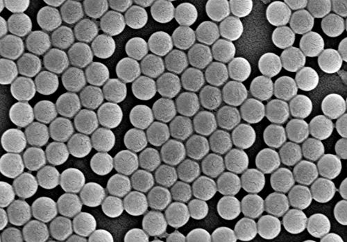 Alpha Nanotech Colloidal Polystyrene Beads (Carboxylated, 100 nm, 50 mg/ml)