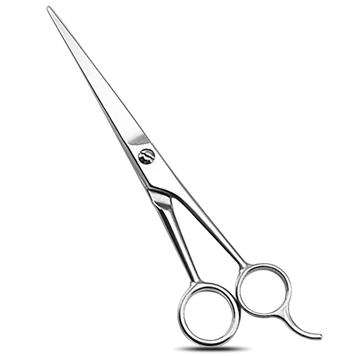 LQRLY Hairdressing Barber Scissors, 6.5 Inch Professional Hairdressing Scissors Stainless Steel Hairdressing Thinning Scissors for Hairdressers Barbers, Children, Men and Women