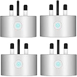 waza smart plug google home