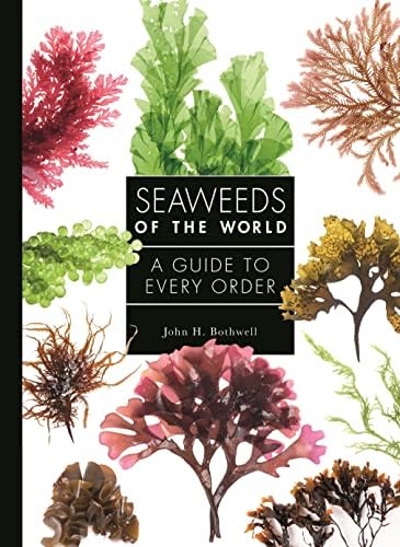 A Field Guide to Seaweeds of the Pacific Northwest: Clarkston