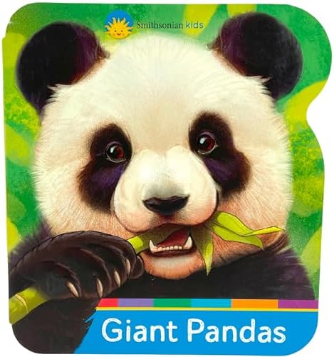 Amazon.com: Baby Touch and Feel Panda: An Interactive Bamboo Bear